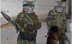 Dumped Soldier