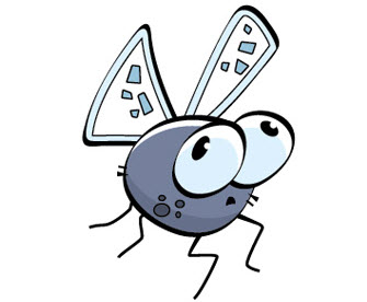 Flies