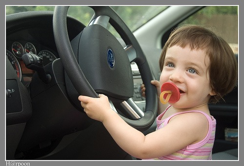 New driver's license