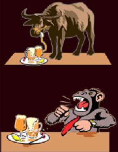 The "Buffalo Theory"