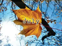 Định nghĩa & cách phát âm từ July