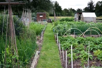 Định nghĩa & cách phát âm từ allotment