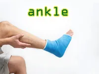 Định nghĩa & cách phát âm từ ankle