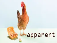 Định nghĩa & cách phát âm từ apparent
