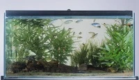 Định nghĩa & cách phát âm từ aquarium