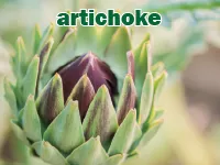 Định nghĩa & cách phát âm từ artichoke