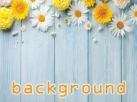 Định nghĩa & cách phát âm từ background