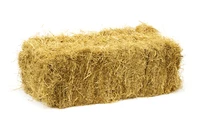 Định nghĩa & cách phát âm từ bale