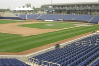 Định nghĩa & cách phát âm từ ballpark