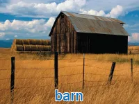 Định nghĩa & cách phát âm từ barn
