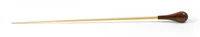 Định nghĩa & cách phát âm từ baton