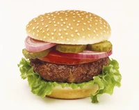 Định nghĩa & cách phát âm từ beefburger