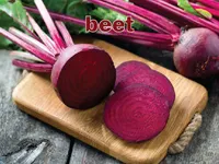 Định nghĩa & cách phát âm từ beet