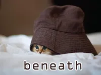 Định nghĩa & cách phát âm từ beneath
