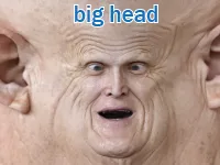 Định nghĩa & cách phát âm từ big-head