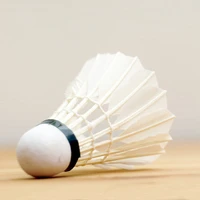 Định nghĩa & cách phát âm từ birdie