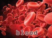 Định nghĩa & cách phát âm từ blood
