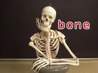 Định nghĩa & cách phát âm từ bone