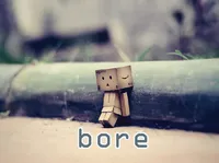 Định nghĩa & cách phát âm từ bore