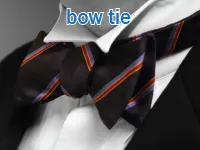 Định nghĩa & cách phát âm từ bow tie