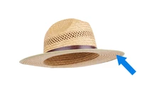 Định nghĩa & cách phát âm từ brim