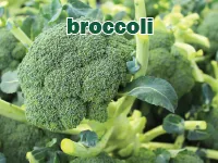 Định nghĩa & cách phát âm từ broccoli