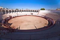Định nghĩa & cách phát âm từ bullring