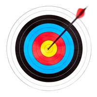 Định nghĩa & cách phát âm từ bullseye