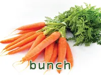 Định nghĩa & cách phát âm từ bunch