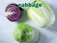 Định nghĩa & cách phát âm từ cabbage