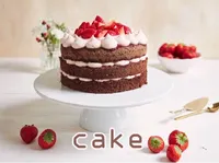 Định nghĩa & cách phát âm từ cake