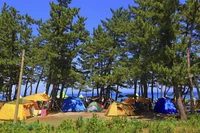 Định nghĩa & cách phát âm từ campsite