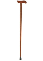 Định nghĩa & cách phát âm từ cane