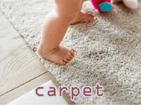 Định nghĩa & cách phát âm từ carpet