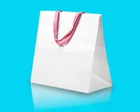 Định nghĩa & cách phát âm từ carrier