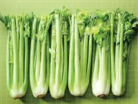 Định nghĩa & cách phát âm từ celery