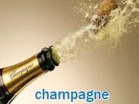 Định nghĩa & cách phát âm từ champagne