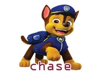 Định nghĩa & cách phát âm từ chase