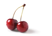 Định nghĩa & cách phát âm từ cherry