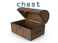Định nghĩa & cách phát âm từ chest