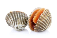 Định nghĩa & cách phát âm từ cockle