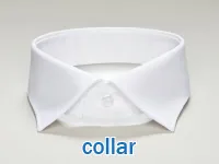 Định nghĩa & cách phát âm từ collar
