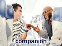 Định nghĩa & cách phát âm từ companion