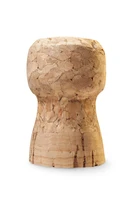 Định nghĩa & cách phát âm từ cork