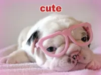 Định nghĩa & cách phát âm từ cute