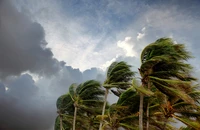 Định nghĩa & cách phát âm từ cyclone