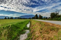 Định nghĩa & cách phát âm từ ditch