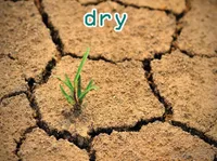 Định nghĩa & cách phát âm từ dry