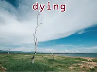 Định nghĩa & cách phát âm từ dying