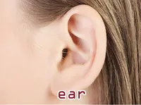 Định nghĩa & cách phát âm từ ear